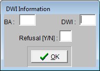 Criminal Payment DWI Info Screen