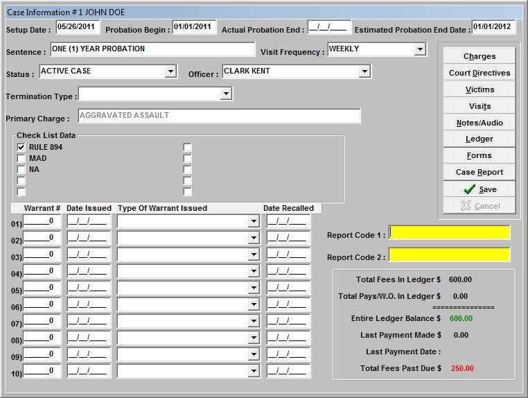 Probation Case Screen